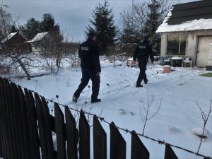 Dwóch policjantów idzie w kierunku małego domku usytuowanego na ogródkach działkowych.